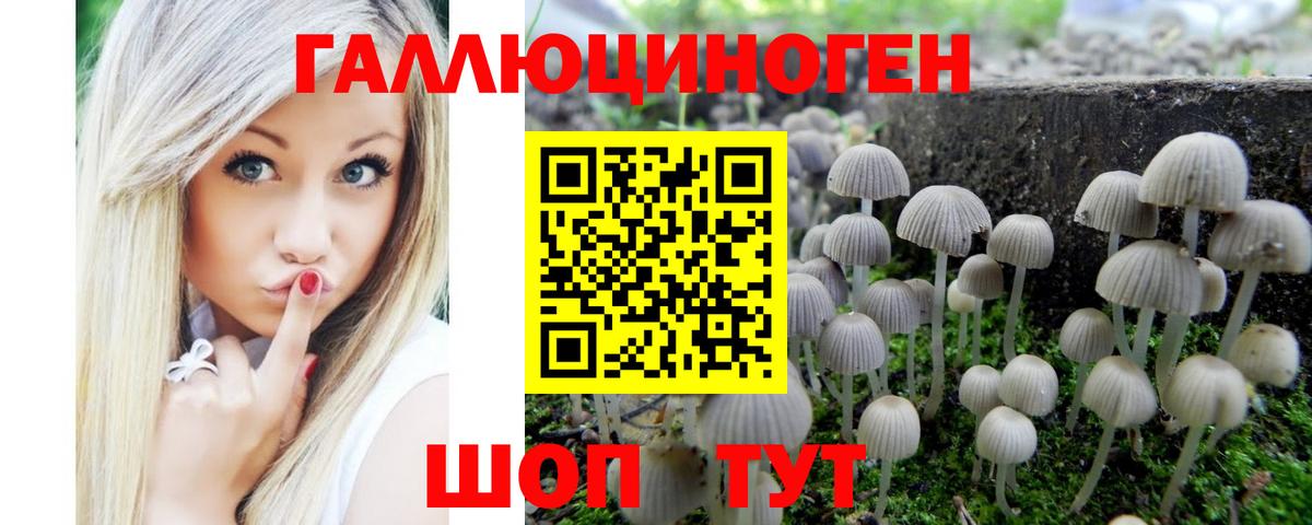 Реж  продажа наркотиков  Вход с VPN  Псилоцибиновые грибы ЛСД 